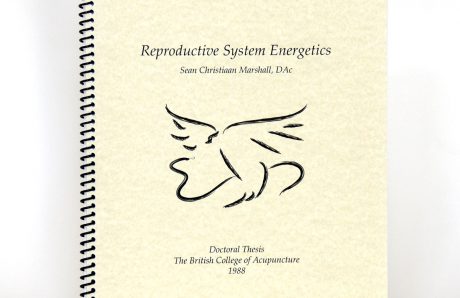 reproductive-system-energetics